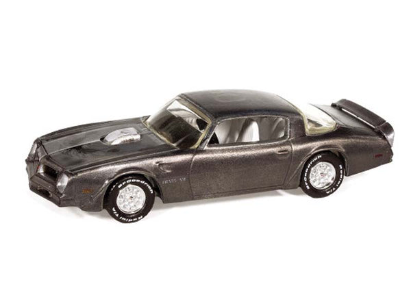 1976 Pontiac Firebird T/A Gray Metallic Weathered (Barn Finds
