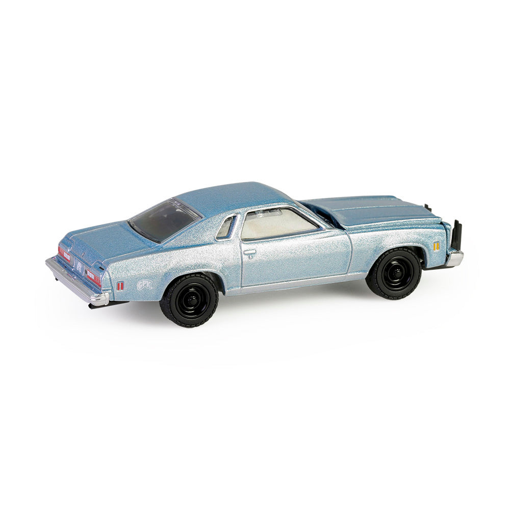RAW CHASE  1977 Chevrolet Chevelle Malibu Classic - Sawyer Anything (Garbage Pail Kids Series 7) Diecast 1:64 Scale Model - Greenlight 54110E