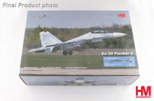 Sukhoi Su-30SM Flanker H Red 09, Kazakhstan Air Defense Forces